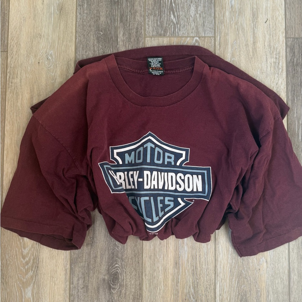Harley-Davidson XXL worn in oversized moto Maroon tee with graphic
